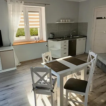 Apartamenty Konik Morski Ostrowo Ostrowo  Exterior photo